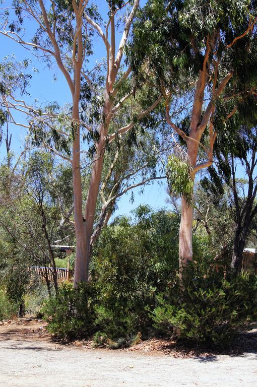Toodyay Floravalley Bed & Breakfast エクステリア 写真